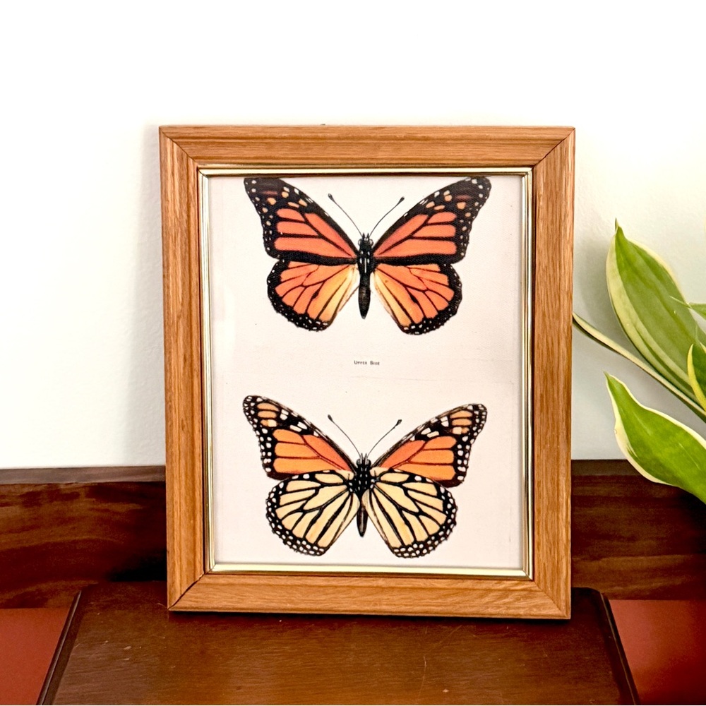 Monarch Butterfly Pair Vintage Style Canvas Art Print Wood Framed Wall Hang Art